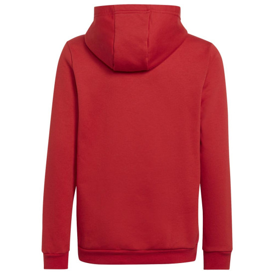 Adidas Παιδικό φούτερ Entrada 22 Hoodie